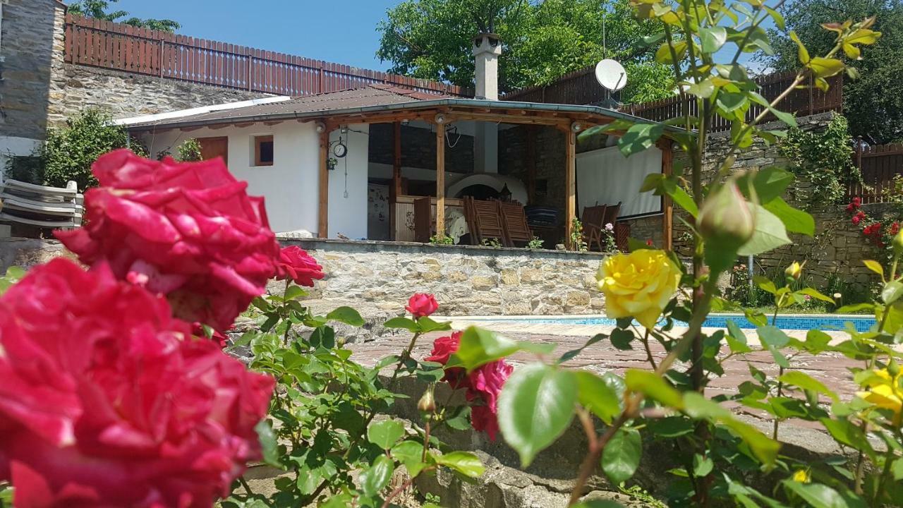 Rosarium Residence Guest House Drjanowo Zewnętrze zdjęcie