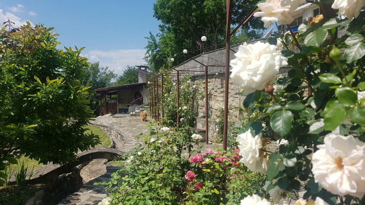 Rosarium Residence Guest House Drjanowo Zewnętrze zdjęcie